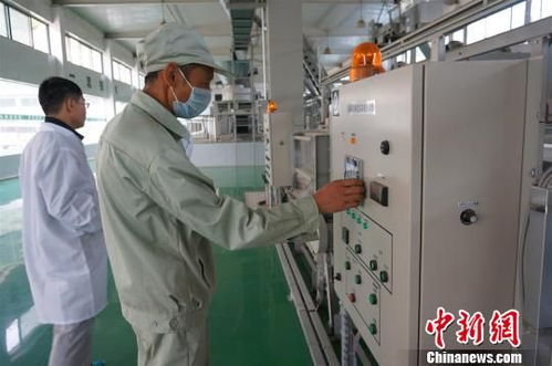 湖北三峽茶谷產業園重點項目集中開工