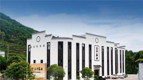 三千茶業中國茶業連鎖頭部品牌,領略中國茶文化魅力