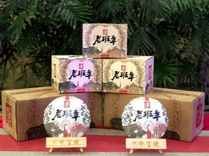 共贏發(fā)展 中吉號茶業(yè)與昌興存茶達(dá)成戰(zhàn)略合作