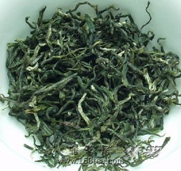 紫陽毛尖的發(fā)展